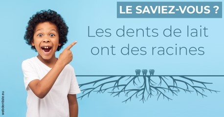 https://www.dentiste-pierre-bertrand-liege-jemeppe.be/Les dents de lait 2