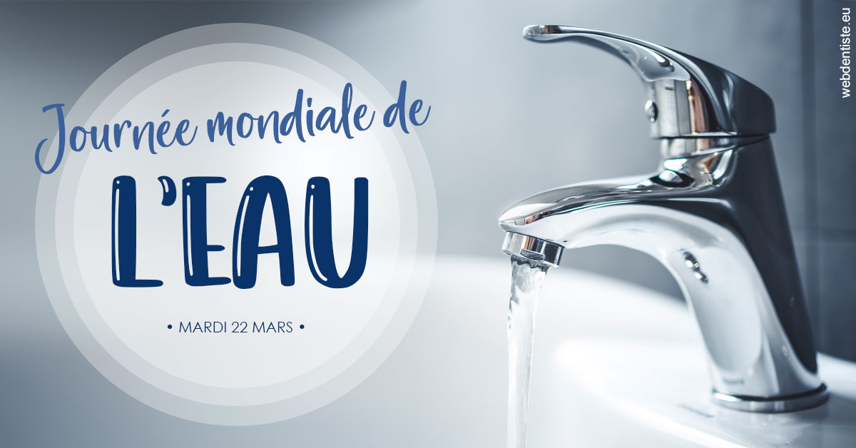 https://www.dentiste-pierre-bertrand-liege-jemeppe.be/La journée de l'eau 2