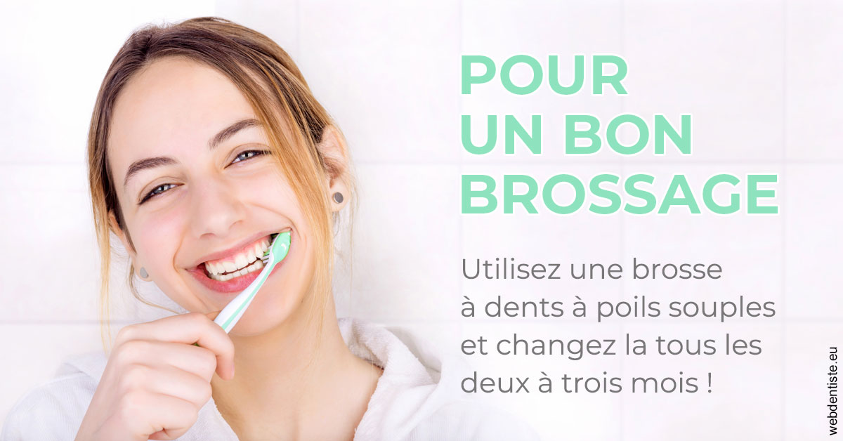 https://www.dentiste-pierre-bertrand-liege-jemeppe.be/Pour un bon brossage 2