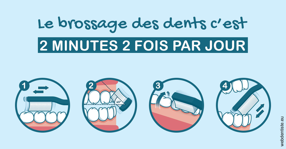https://www.dentiste-pierre-bertrand-liege-jemeppe.be/Les techniques de brossage des dents 1