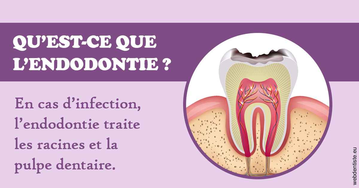 https://www.dentiste-pierre-bertrand-liege-jemeppe.be/2024 T1 - Endodontie 02