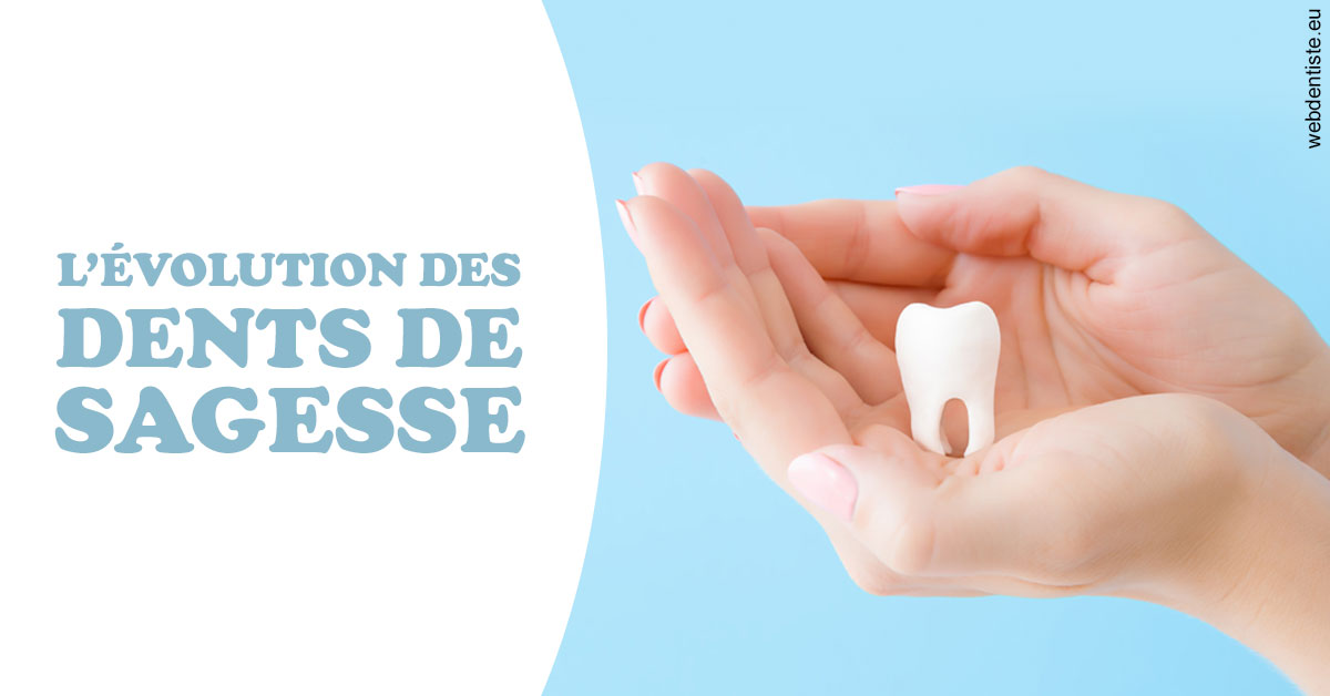 https://www.dentiste-pierre-bertrand-liege-jemeppe.be/Evolution dents de sagesse 1