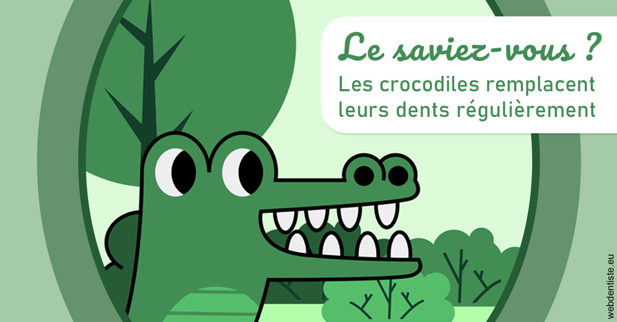 https://www.dentiste-pierre-bertrand-liege-jemeppe.be/Crocodiles 2