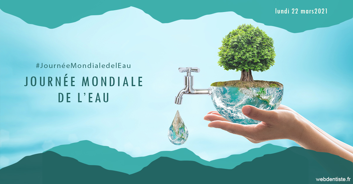 https://www.dentiste-pierre-bertrand-liege-jemeppe.be/Journée de l'eau 1