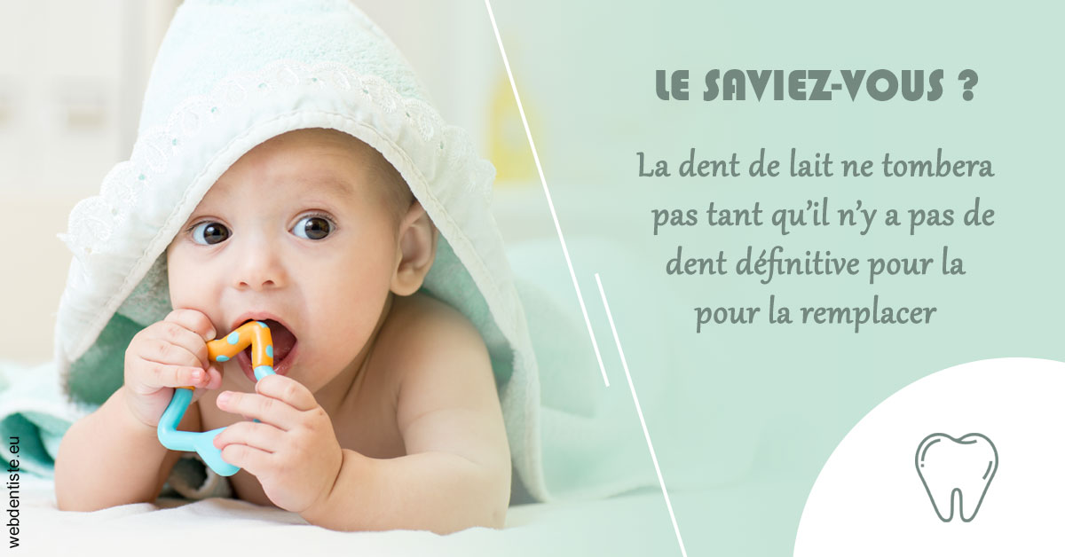 https://www.dentiste-pierre-bertrand-liege-jemeppe.be/La dent de lait 2