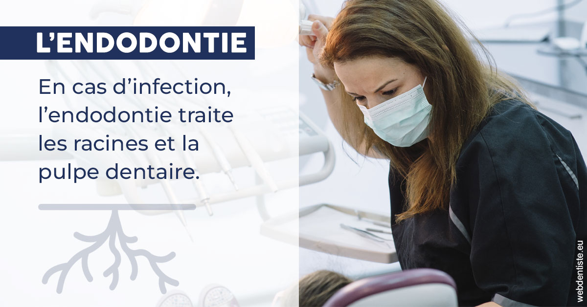 https://www.dentiste-pierre-bertrand-liege-jemeppe.be/L'endodontie 1