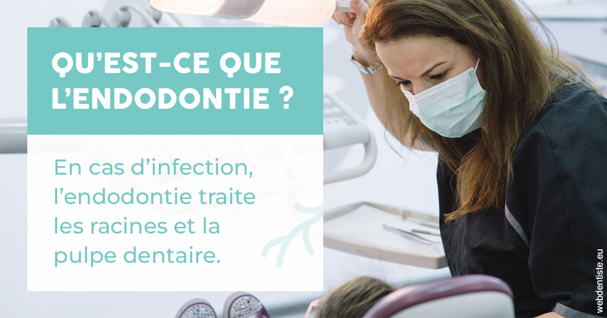 https://www.dentiste-pierre-bertrand-liege-jemeppe.be/2024 T1 - Endodontie 01