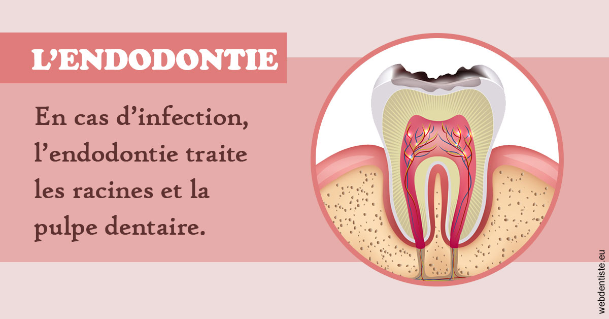 https://www.dentiste-pierre-bertrand-liege-jemeppe.be/L'endodontie 2